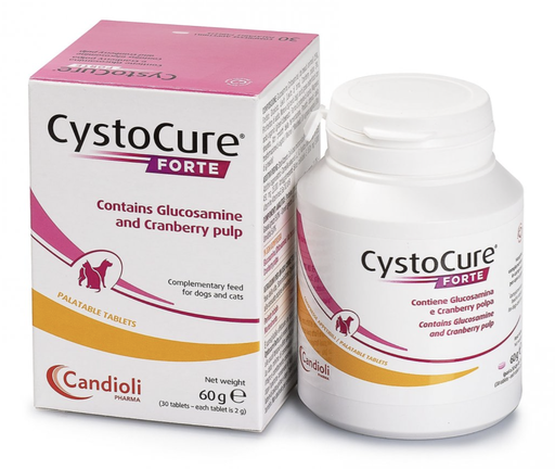 [E014838] Cystocure Forte 30 tablets