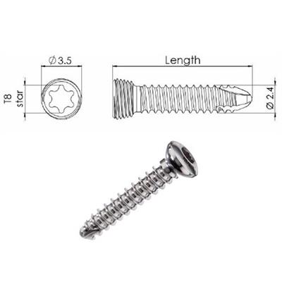 [E004586] Locking Star Screw 2.7/6mm