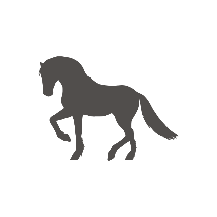 Equine