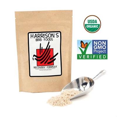 [E000359] Hbd Recovery Formula 350g = 12oz