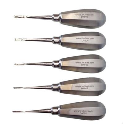 [E000704] 5Pc Luxator Instrument Set (1-5mm Stubby)