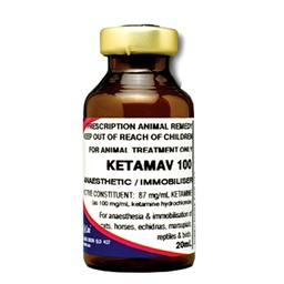 [E009044] Ketamav Injection 100mg/ml 20ml