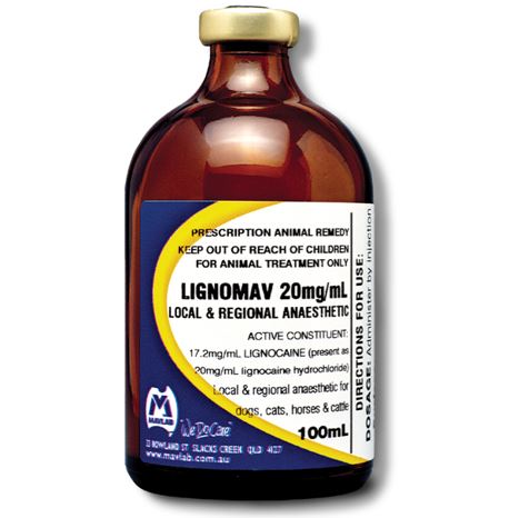 [E009049] Lignomav Injection 2% 100ml