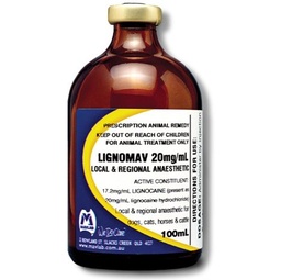 [E009049] Lignomav Injection 2% 100ml