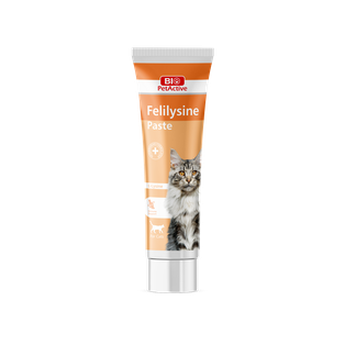Bio PetActive Felilysine Gel (L-Lysine gel for Cats) 100ml