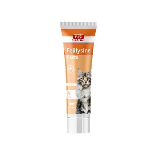 [E009982] Bio PetActive Felilysine Paste (L-Lysine paste for Cats) 100ml