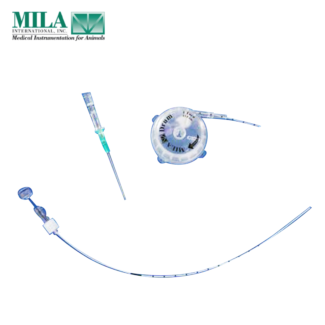 Drum Long Line Catheter 22Ga x 20cm (8in) with 20Ga Introducer