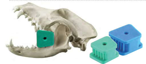 [E014203] Posterior Rubber Mouth Gag - Small - Green