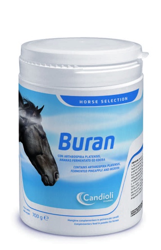 [E014854] Buran 700 g