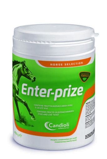 [E014857] Enter Prize 450 g