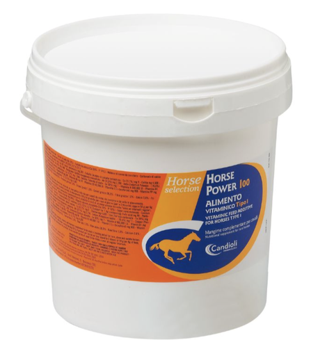 [E014861] Horse Power 100 4 kg