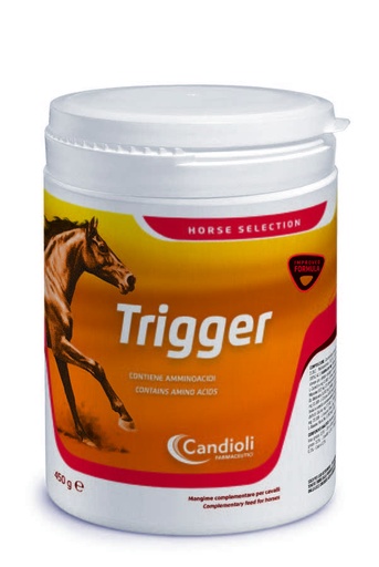 [E014864] Trigger 3 kg