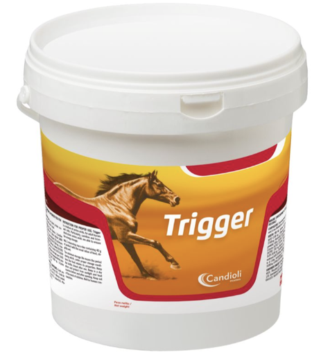 [E014864] Trigger 3 kg