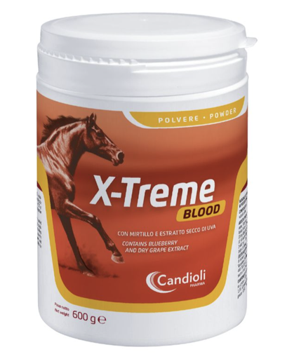[E014866] X-Treme Blood 600 g