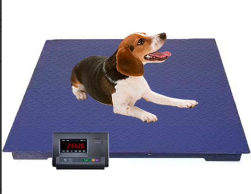 [E016058] VC-FS Vet Digital Floor Scale 0.5*1m