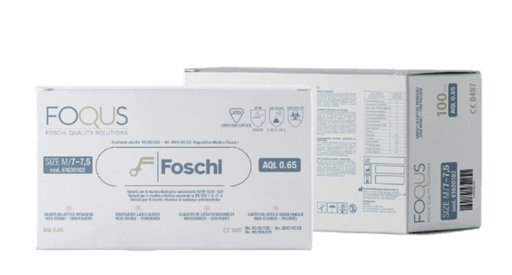 [E016200] FOQUS LATEX GLOVES NO POWDER - SIZE L (1 box -100 pcs)