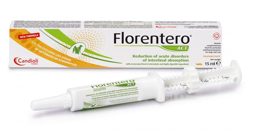 [E016359] Florentero Act paste - 15 ml
