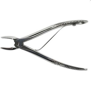 Feline/Small Dog Extraction Forceps