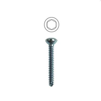 [E003660] Rl Tta Self Tapping Screw 2.0 20mm Tt