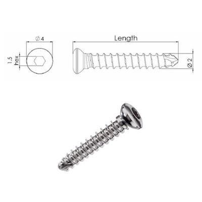 [E004580] Csst Self Tapping Hex Screw 2.0 20 mm Ss